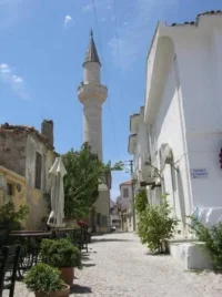 126.webp