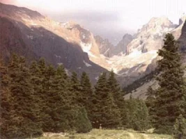 127.webp