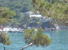 121.webp