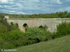 124.webp