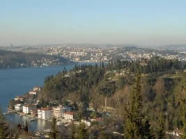 116.webp
