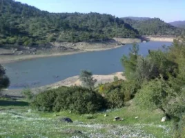 120.webp