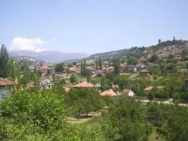 90.webp