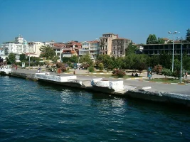 89.webp