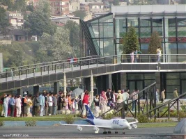 103.webp