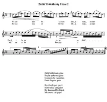 253.webp