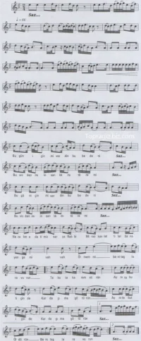 294.webp