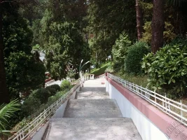 yalova1.webp