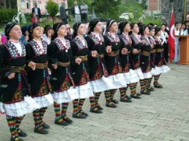 378.webp