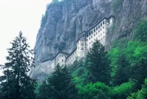 379.webp