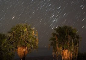 Orionid Meteor Yağmuru Nedir?