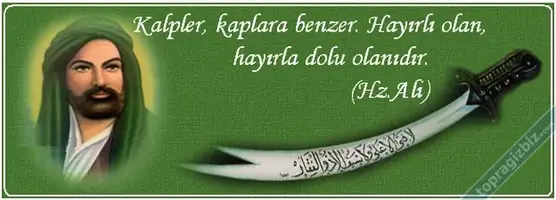 hzali.webp