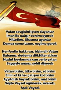 Vatan Sevgisini İçten Duyanlar - Aşık Veysel Şatıroğlu