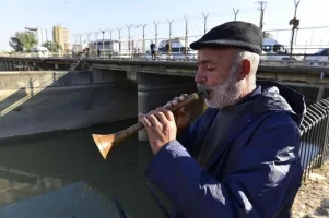 Sıkışan Balıklar Ölmesin Diye Zurna Çalan Vatandaş