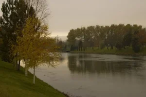esk_3.webp