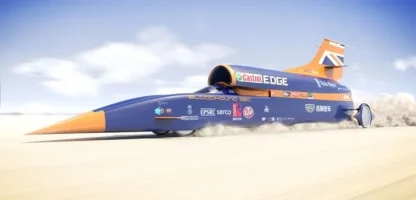 bloodhound.webp