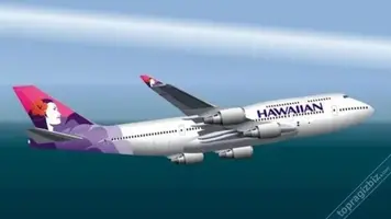 hawaian.webp