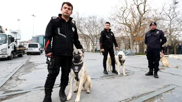 kangal-2.webp