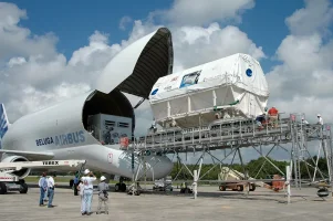 Beluga-3.webp