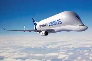 beluga-xl.webp