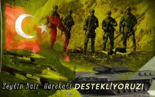zeytindal.webp