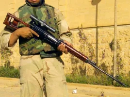 galeridragunov-svd-jpg_503321345_1434789904.webp