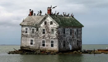 Holland-_Island-_Chesapeake-_Bay.webp