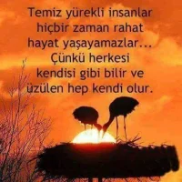 FB_IMG_1520802263248.webp