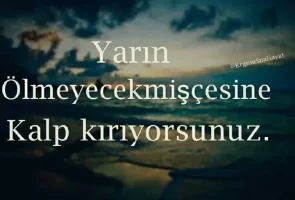 Screenshot_20180308-164129_1.webp