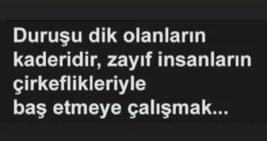 0b26ee8932988f4e69db0386209ee2ef.webp