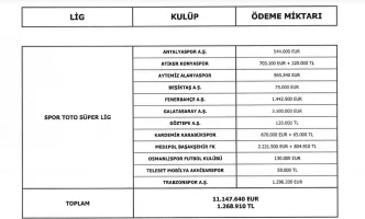 Türkiye'de menajerlere ödenen paralar belli oldu