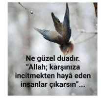 index_u.webp