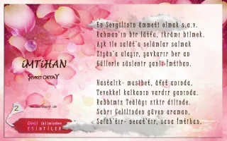 MT_HAN_2_2.webp