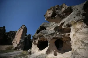 frig-3-700x467.webp