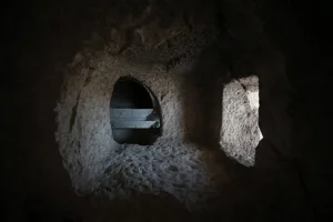 frig-9-700x467.webp