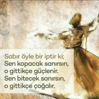 fe407577-76e7-4347-8c6e-590d52acea9d.webp