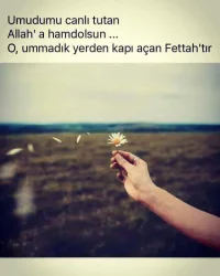 yujuyhm.webp