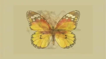 kisilik_testi_kelebek_resmi.webp