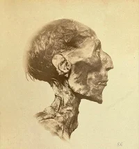 ramses-5.webp
