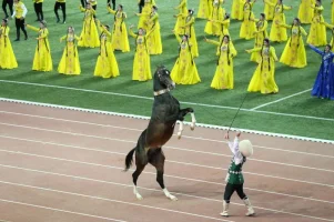 ahal-teke-3.webp