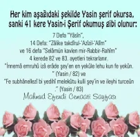 7cbe177e42a916e27a177be29cb75fd8.webp
