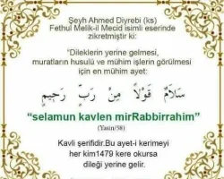 selamun-kavlen.webp