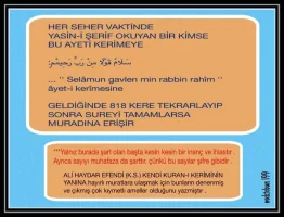 selamun-kavlen-jpgo.webp