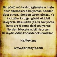 gplus580607875.webp