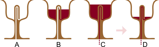 pisagor-kupasi-1.webp