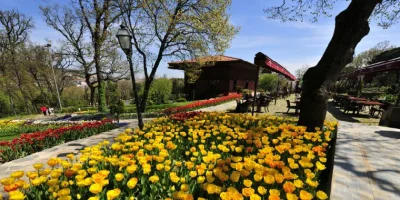kucuk_camlica_korusu.webp