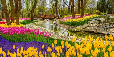 emirgan_korusu-1.webp