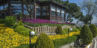 gozdagi-korusu-2.webp