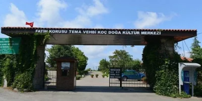 fatih-korusu-2.webp