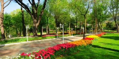 abraham_korusu-2.webp
